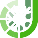 JeetCity Casino Australia